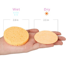 Load image into Gallery viewer, Compressed Facial Sponges (50 pcs)
